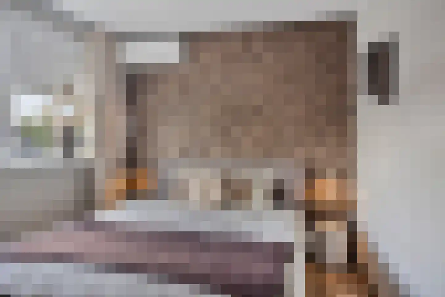 Burgemeester Eekhoutstraat 12 Losser thumbnail 23