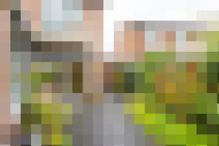 Burgemeester Eekhoutstraat 20 Oldenzaal thumbnail 33
