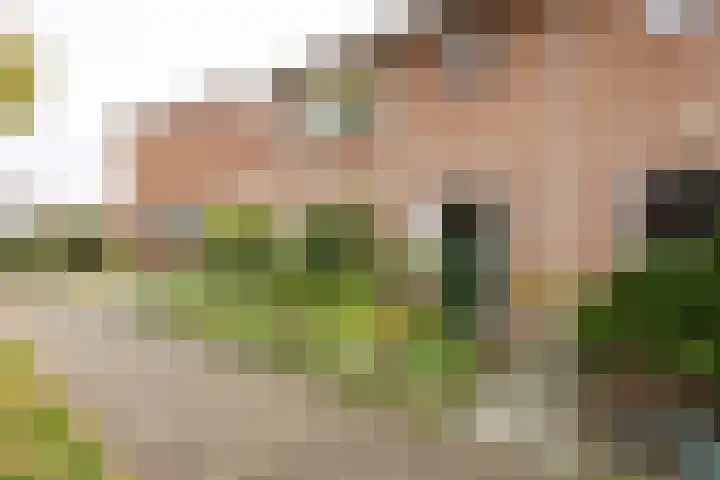 Burgemeester Eekhoutstraat 20 Oldenzaal thumbnail 5