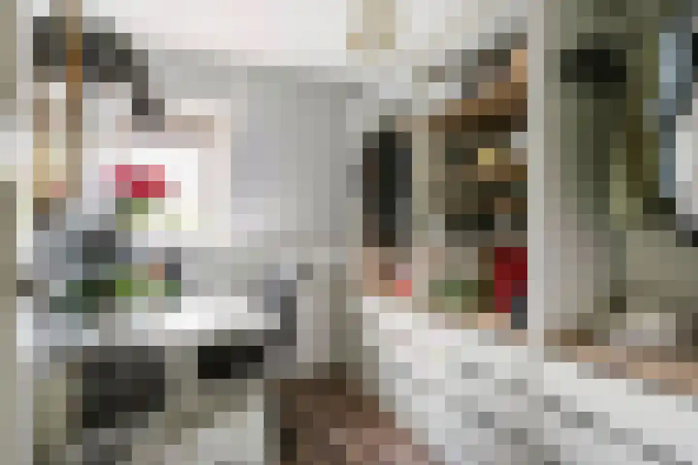 Burgemeester Egginkstraat 48 Maarssen thumbnail 22