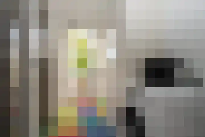 Burgemeester Eikemastr 4 Sappemeer thumbnail 13