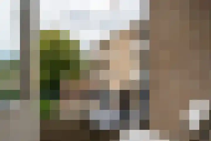 Burgemeester Eikemastr 4 Sappemeer thumbnail 18