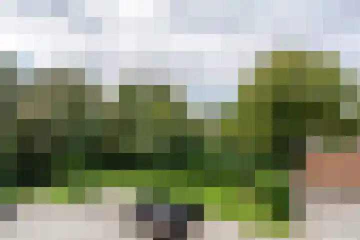 Burgemeester Eikemastr 4 Sappemeer thumbnail 19