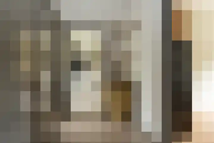 Burgemeester Eikemastr 4 Sappemeer thumbnail 20