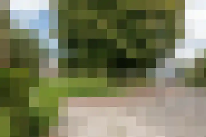 Burgemeester Eikemastr 4 Sappemeer thumbnail 29