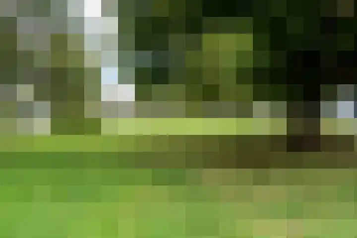 Burgemeester Eikemastr 4 Sappemeer thumbnail 35