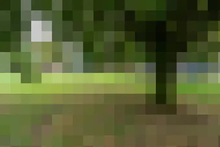 Burgemeester Eikemastr 4 Sappemeer thumbnail 36