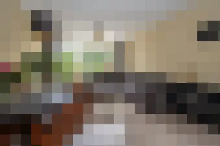 Burgemeester Eikemastr 4 Sappemeer thumbnail 4