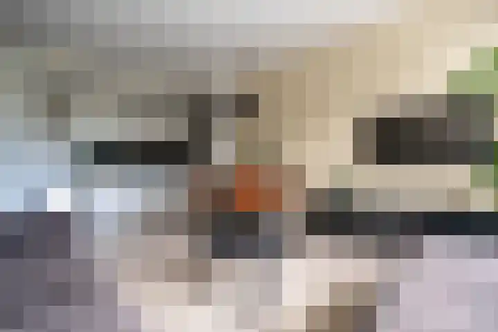 Burgemeester Eikemastr 4 Sappemeer thumbnail 6