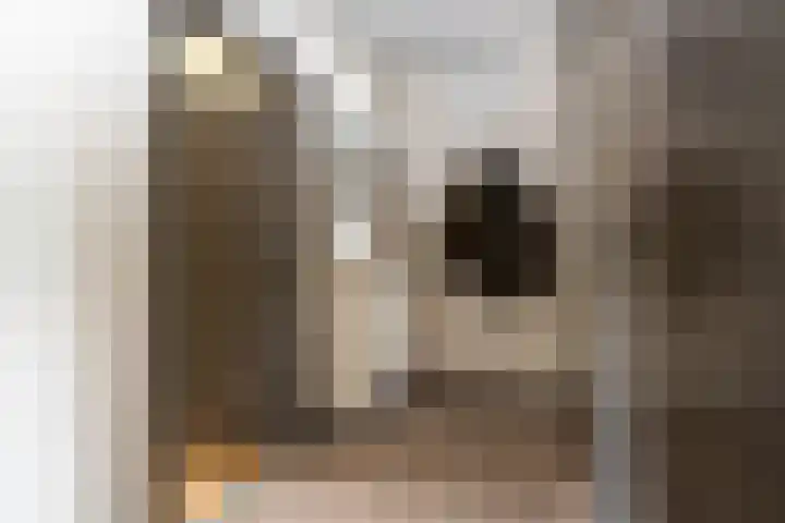 Burgemeester Eikemastr 4 Sappemeer thumbnail 9