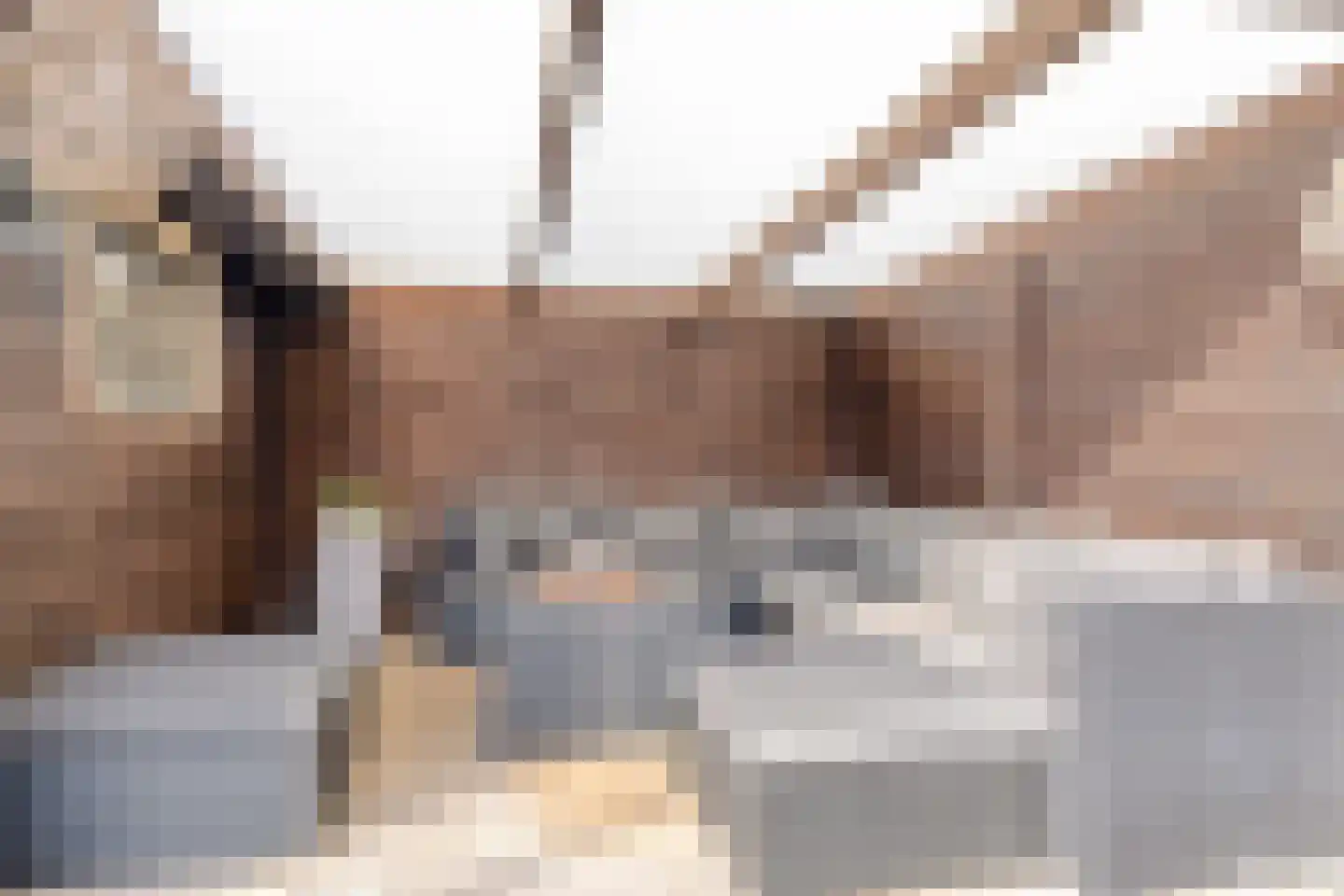 Burgemeester Elkhuizenlaan 12 Halsteren thumbnail 40