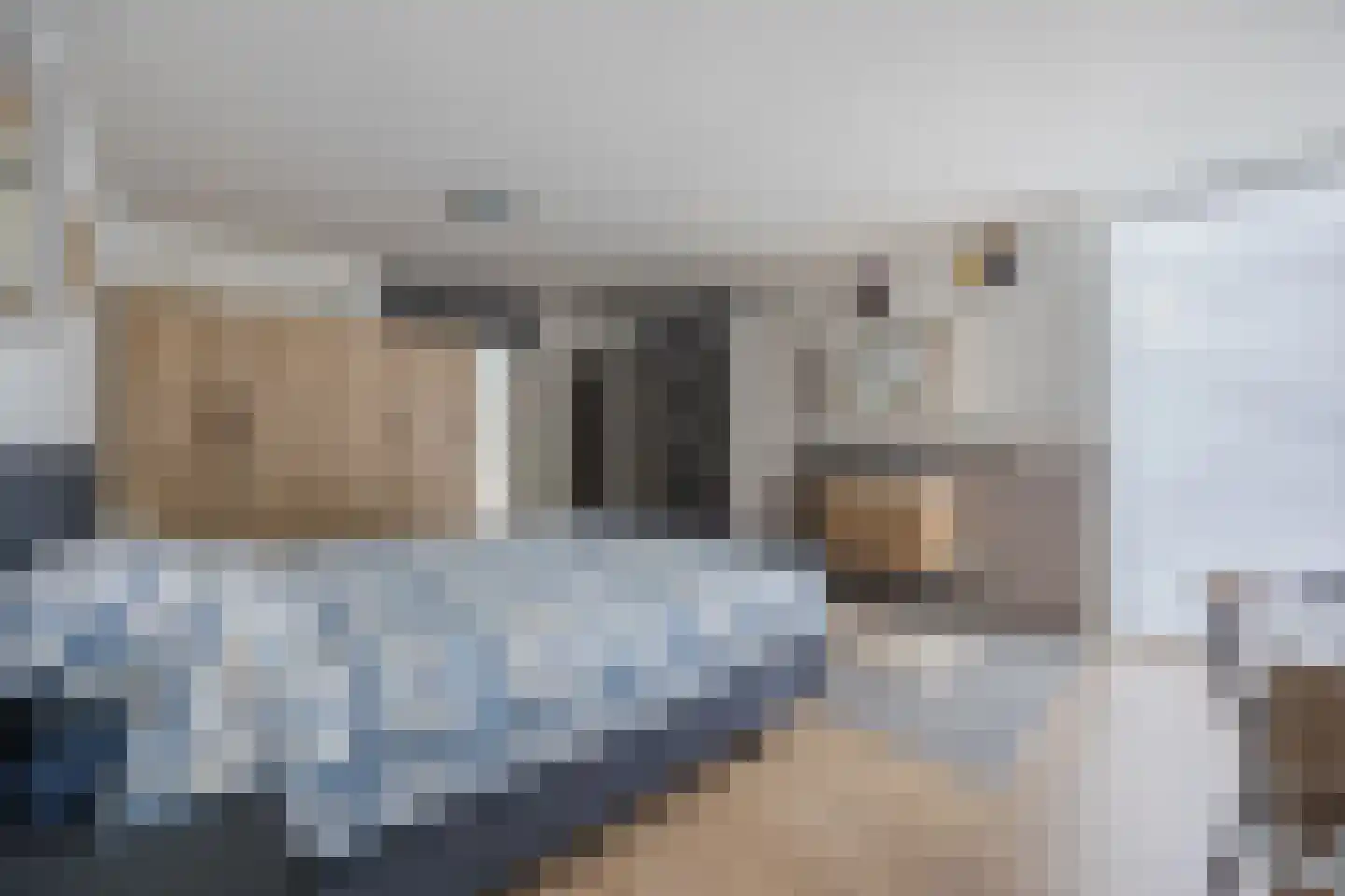 Burgemeester Elkhuizenlaan 36 Halsteren thumbnail 4