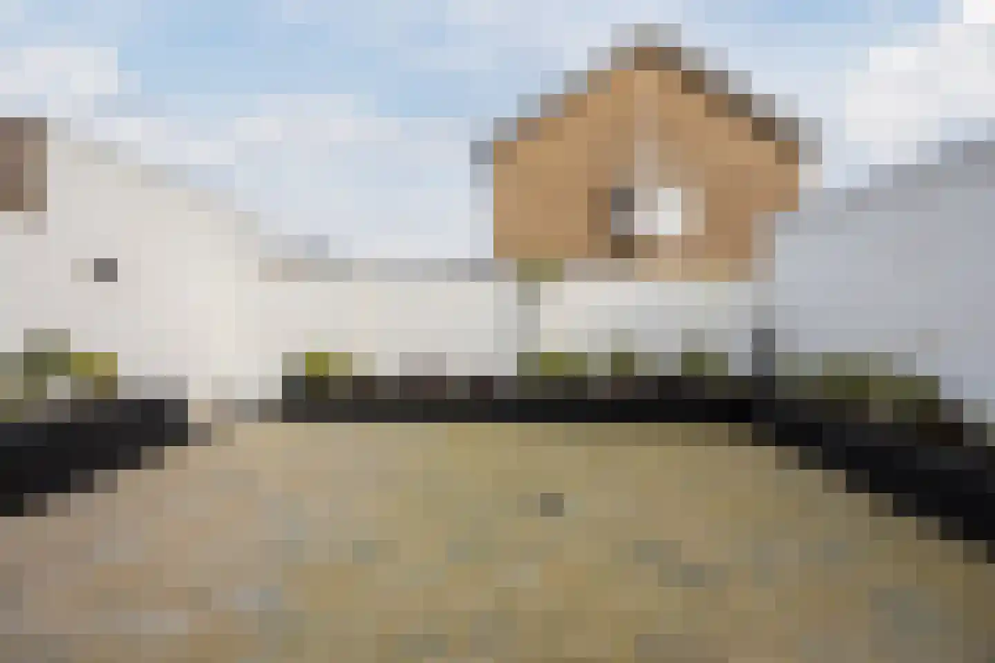 Burgemeester Elkhuizenlaan 36 Halsteren thumbnail 46