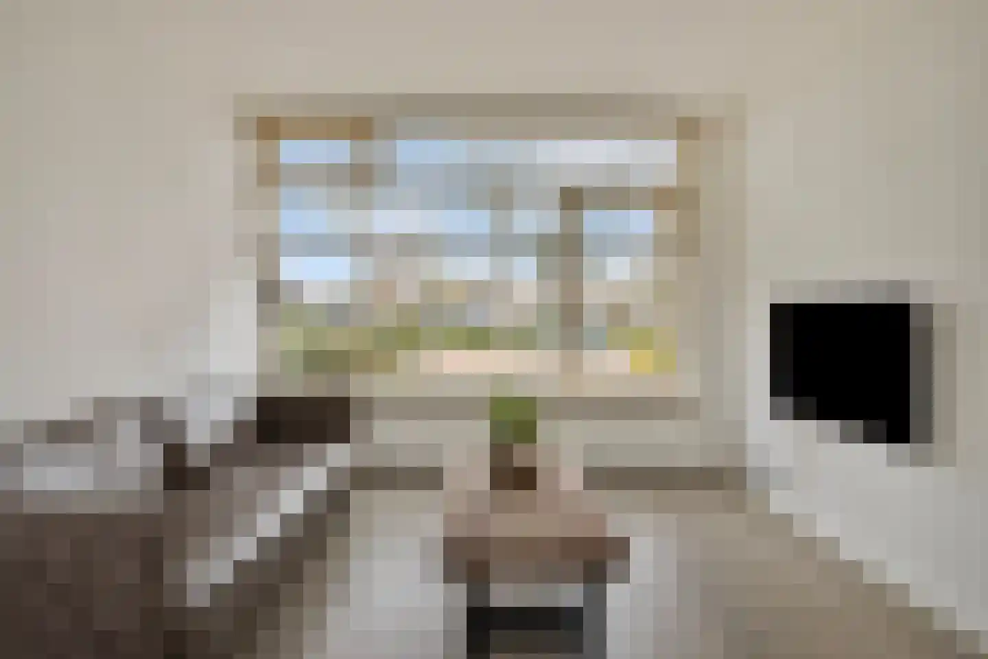 Burgemeester Elkhuizenlaan 68 Halsteren thumbnail 12