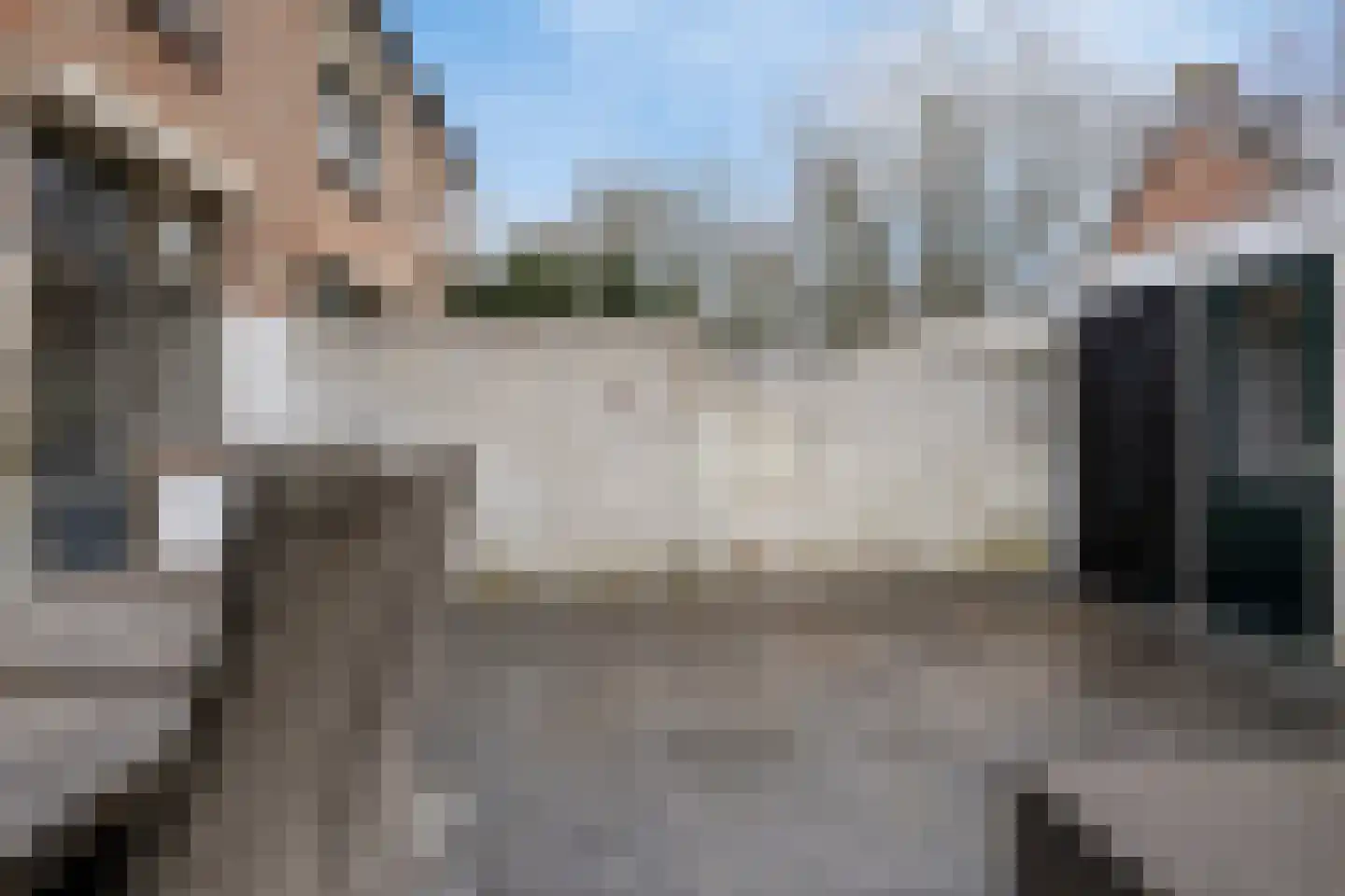 Burgemeester Elkhuizenlaan 68 Halsteren thumbnail 27
