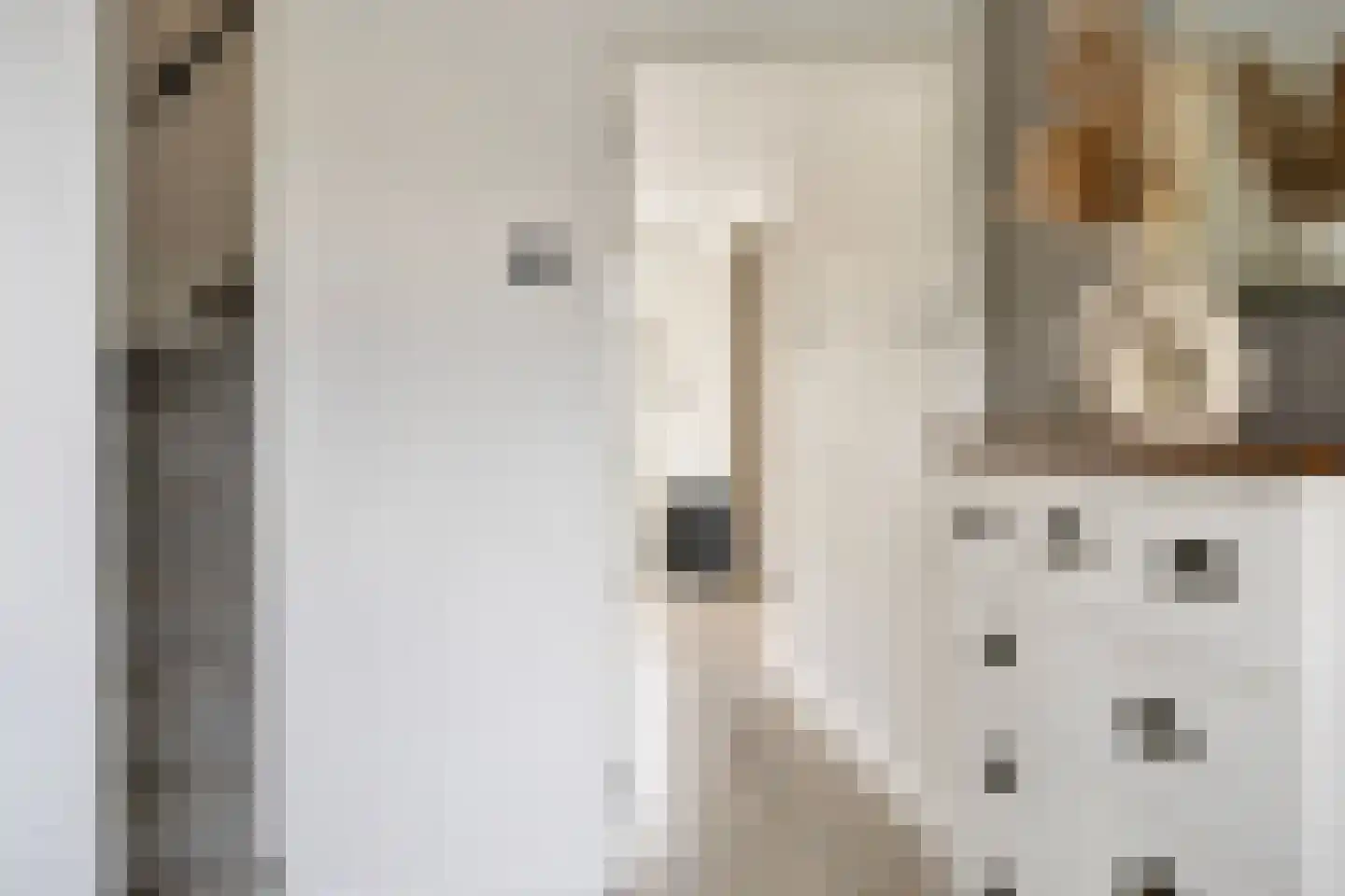 Burgemeester Elkhuizenlaan 68 Halsteren thumbnail 7