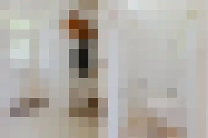 Burgemeester Elkhuizenlaan 70 Halsteren thumbnail 16
