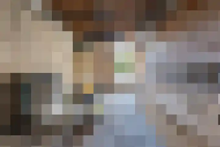 Burgemeester Elkhuizenlaan 70 Halsteren thumbnail 30