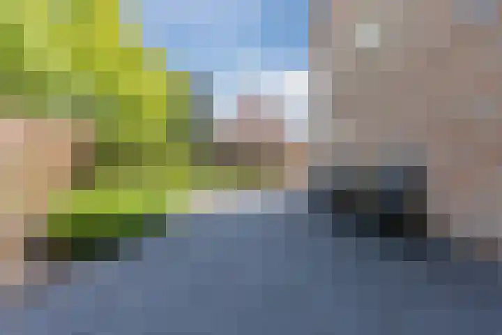 Burgemeester Elkhuizenlaan 70 Halsteren thumbnail 31