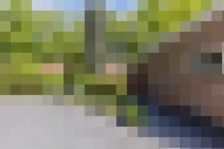 Burgemeester Elkhuizenlaan 70 Halsteren thumbnail 37