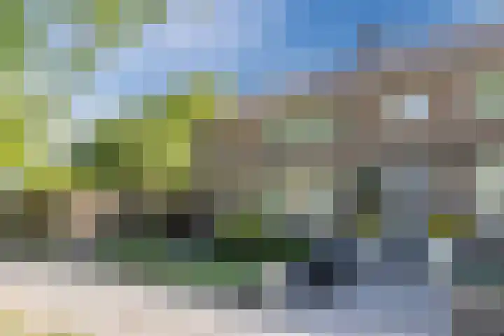 Burgemeester Elkhuizenlaan 70 Halsteren thumbnail 5