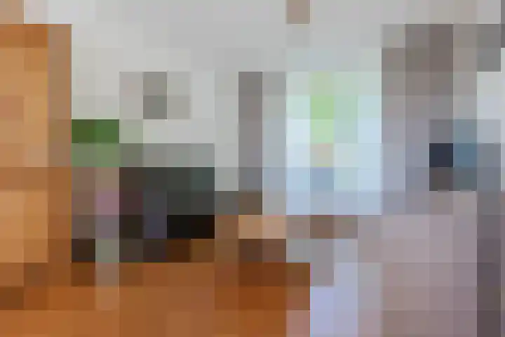 Burgemeester Elkhuizenlaan 70 Halsteren thumbnail 6