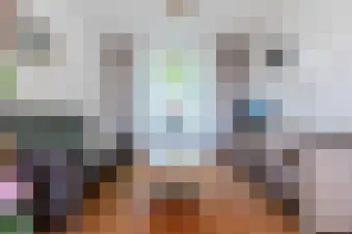 Burgemeester Elkhuizenlaan 70 Halsteren thumbnail 7