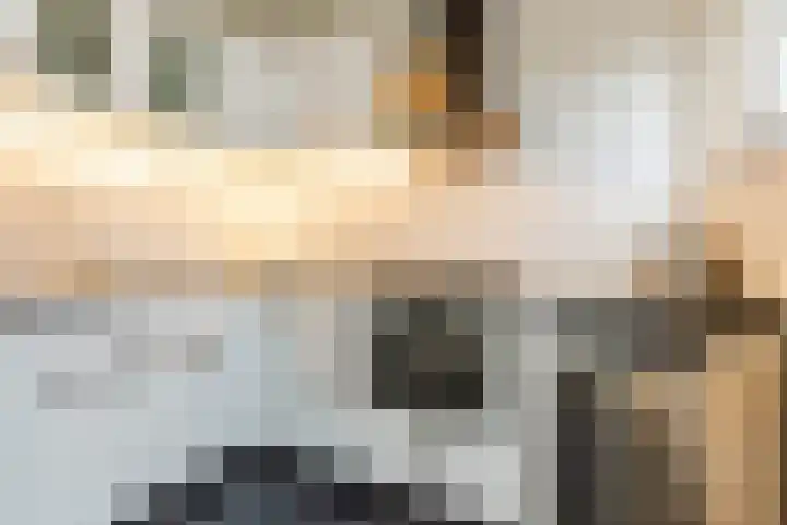 Burgemeester Elkhuizenlaan 80 Halsteren thumbnail 9