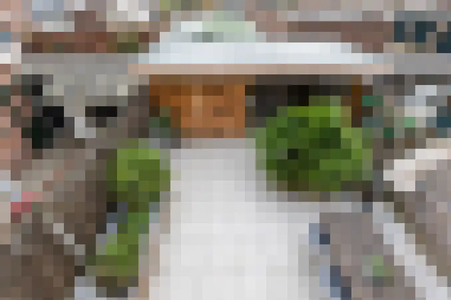 Burgemeester Elkhuizenlaan 82 Halsteren thumbnail 31