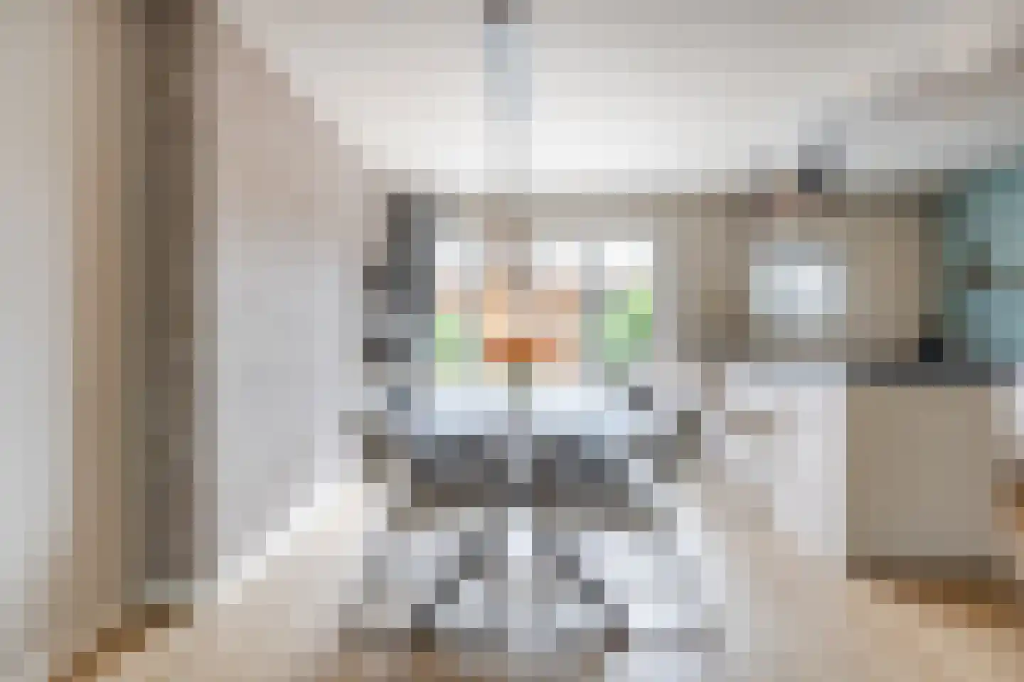 Burgemeester Elkhuizenlaan 82 Halsteren thumbnail 7