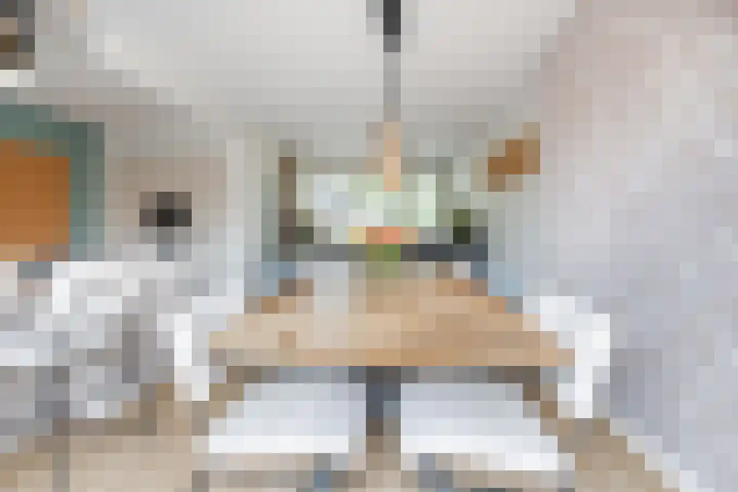 Burgemeester Elkhuizenlaan 82 Halsteren thumbnail 8