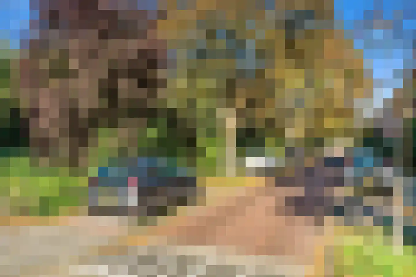 Burgemeester Elsenlaan 113 Rijswijk thumbnail 36