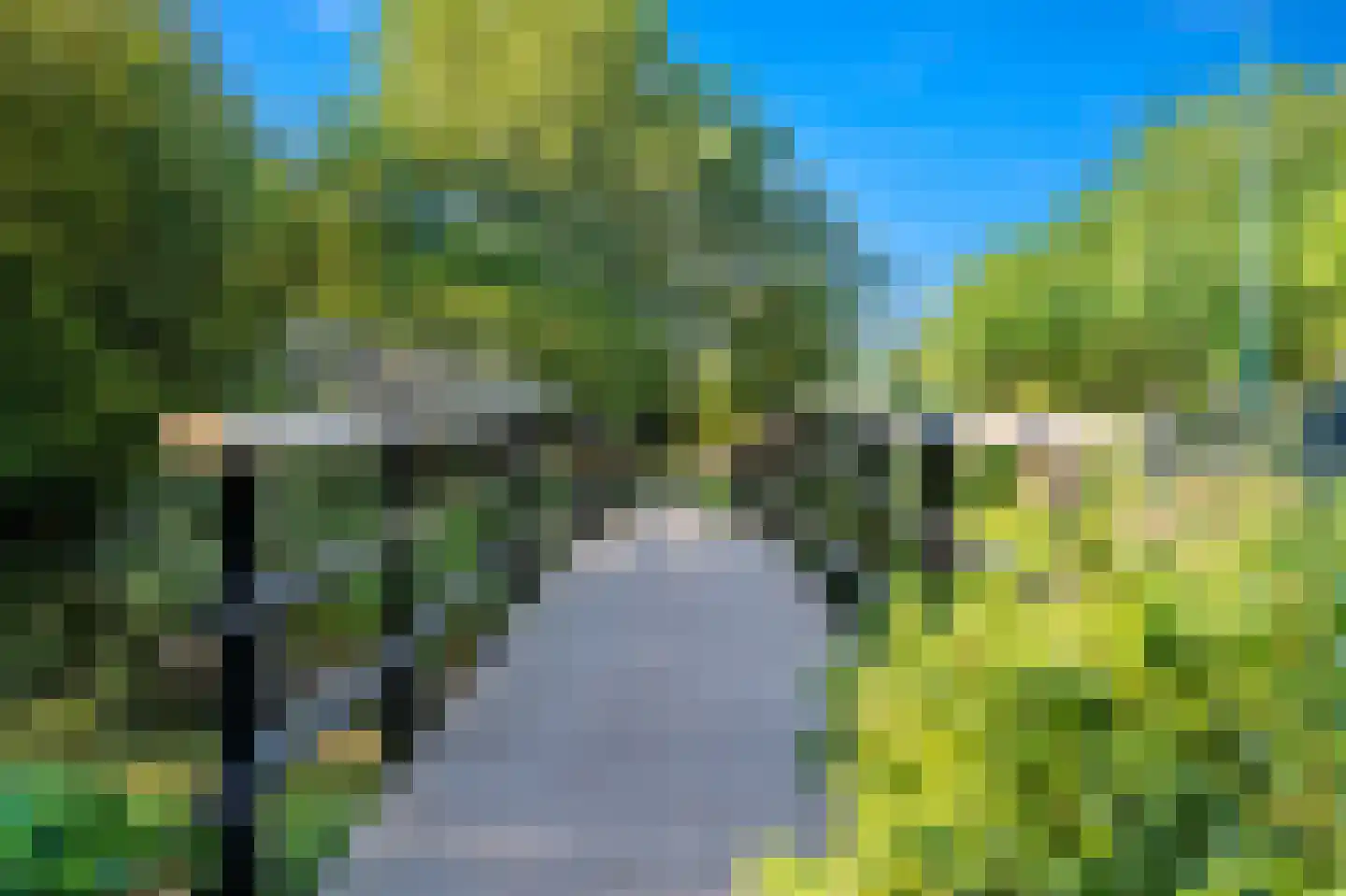 Burgemeester Elsenlaan 113 Rijswijk thumbnail 37