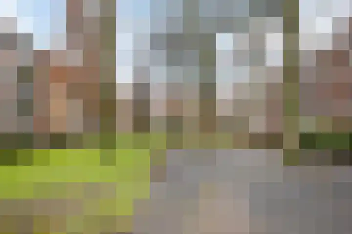 Burgemeester Elsenlaan 121 Rijswijk thumbnail 34