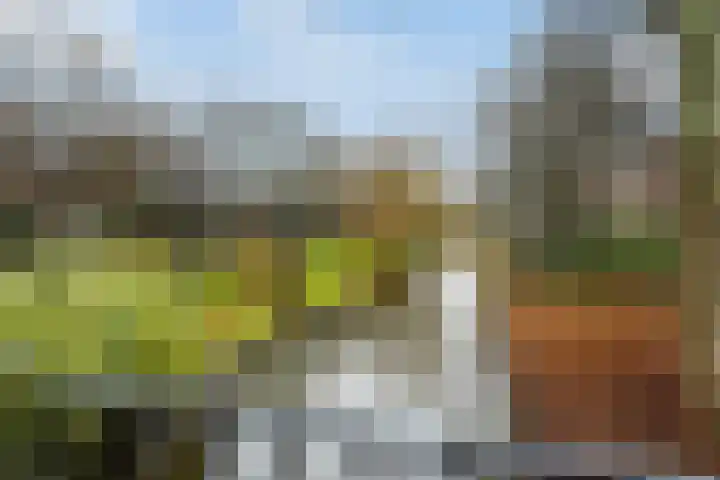 Burgemeester Elsenlaan 121 Rijswijk thumbnail 40