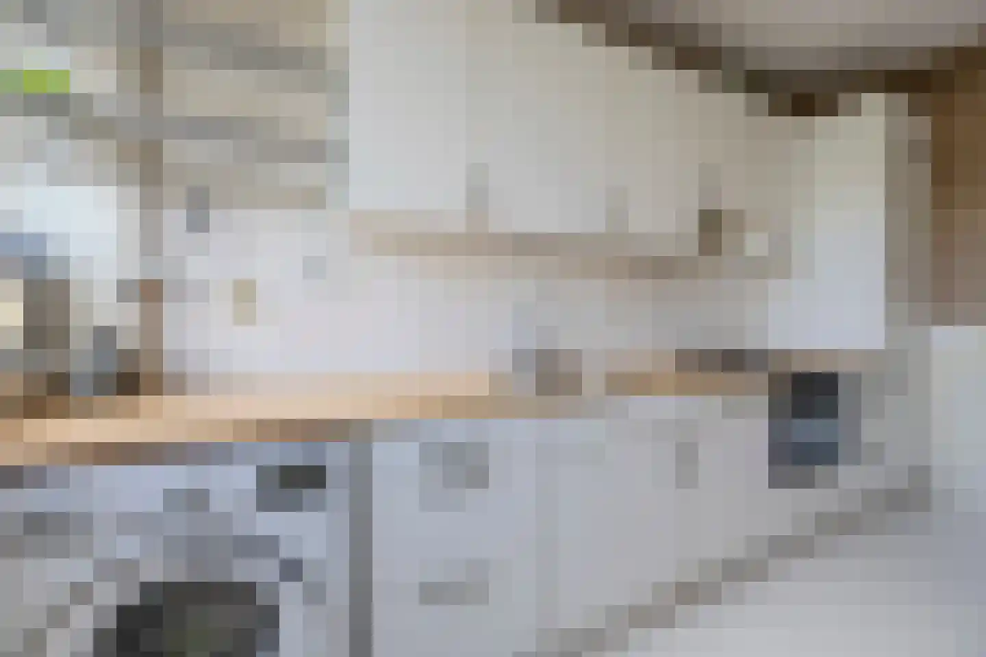 Burgemeester Elsenlaan 17 Rijswijk thumbnail 31