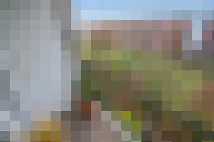 Burgemeester Elsenlaan 18 Rijswijk thumbnail 17