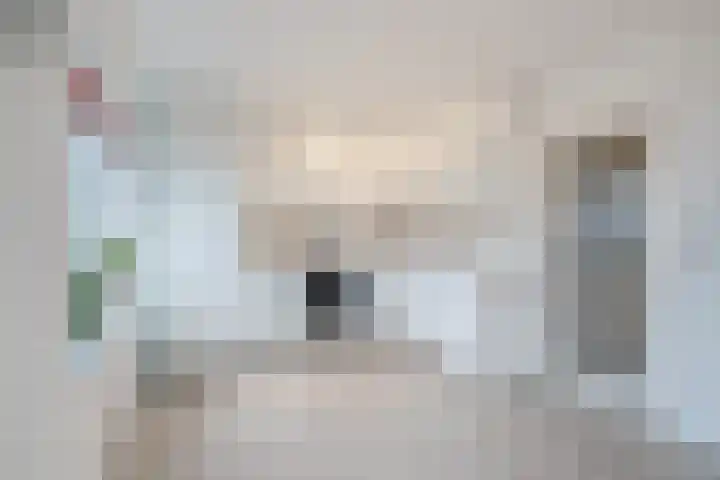 Burgemeester Elsenlaan 18 Rijswijk foto 3