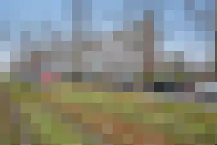 Burgemeester Elsenlaan 18 Rijswijk thumbnail 4