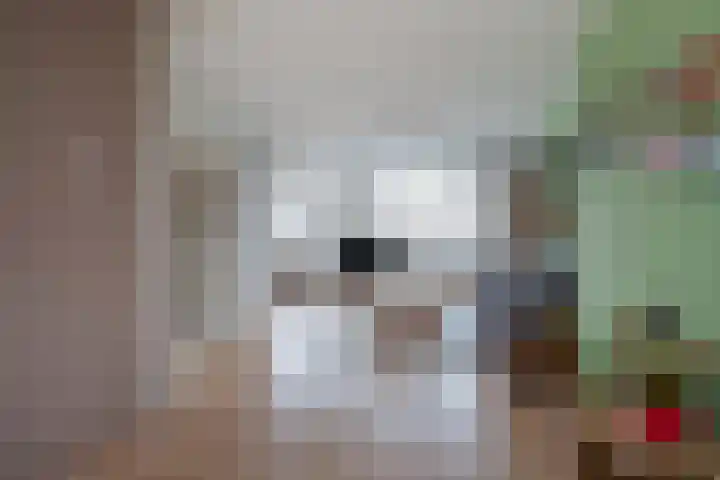 Burgemeester Elsenlaan 18 Rijswijk thumbnail 8