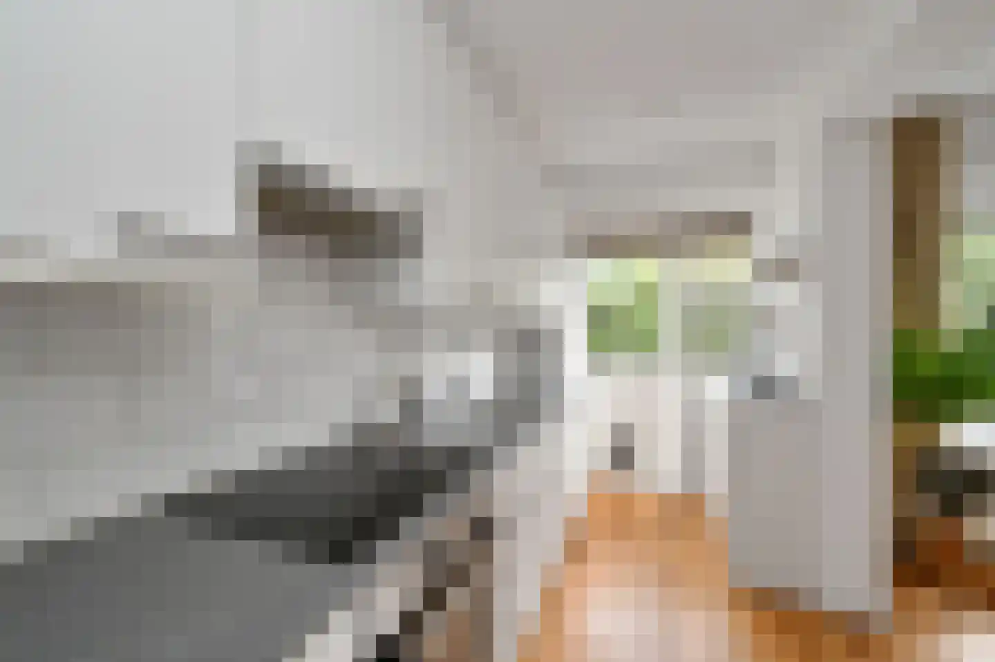 Burgemeester Elsenlaan 207 Rijswijk thumbnail 18
