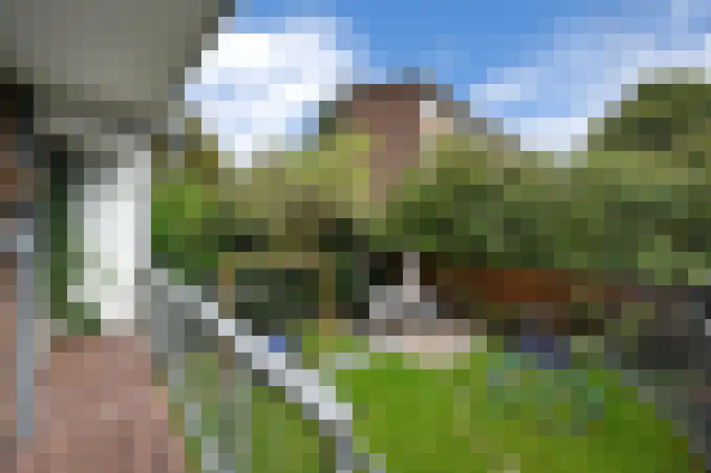 Burgemeester Elsenlaan 207 Rijswijk thumbnail 21