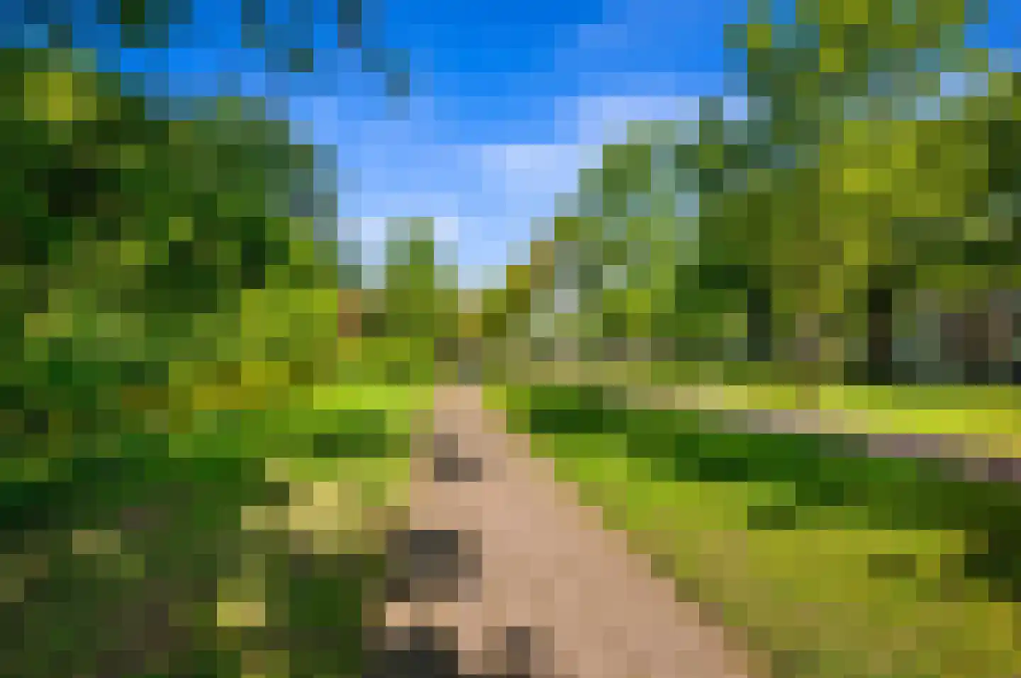 Burgemeester Elsenlaan 23 Rijswijk thumbnail 36