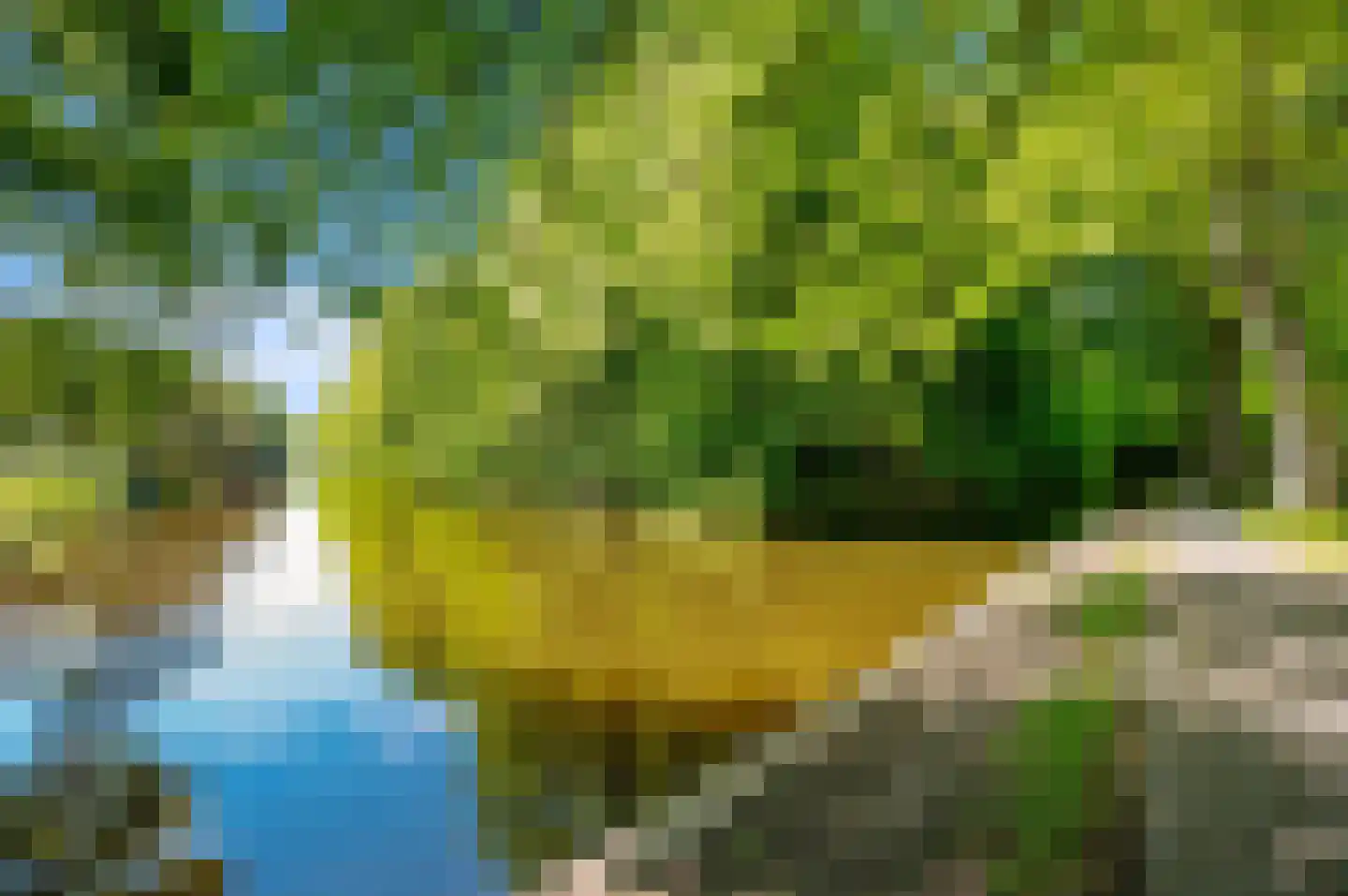 Burgemeester Elsenlaan 23 Rijswijk thumbnail 43
