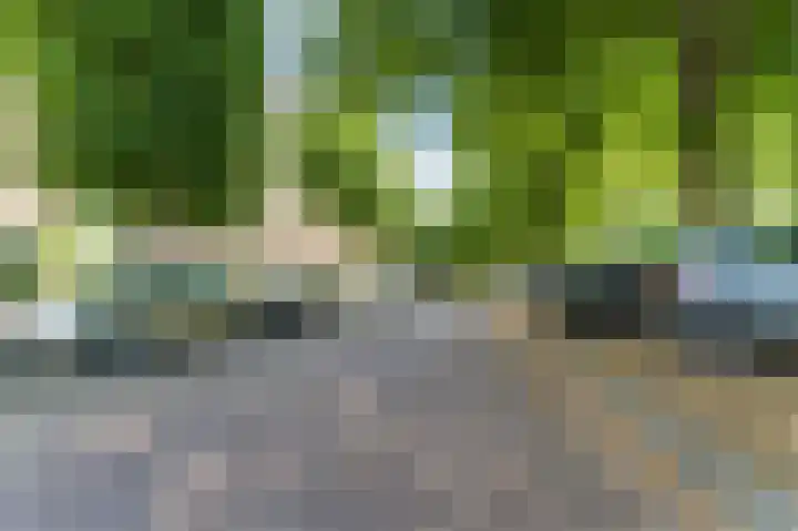 Burgemeester Elsenlaan 25 Rijswijk thumbnail 32