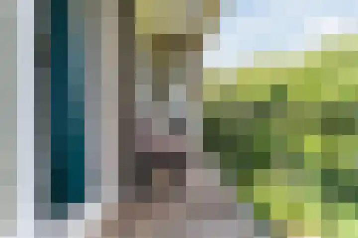 Burgemeester Elsenlaan 25 Rijswijk thumbnail 9