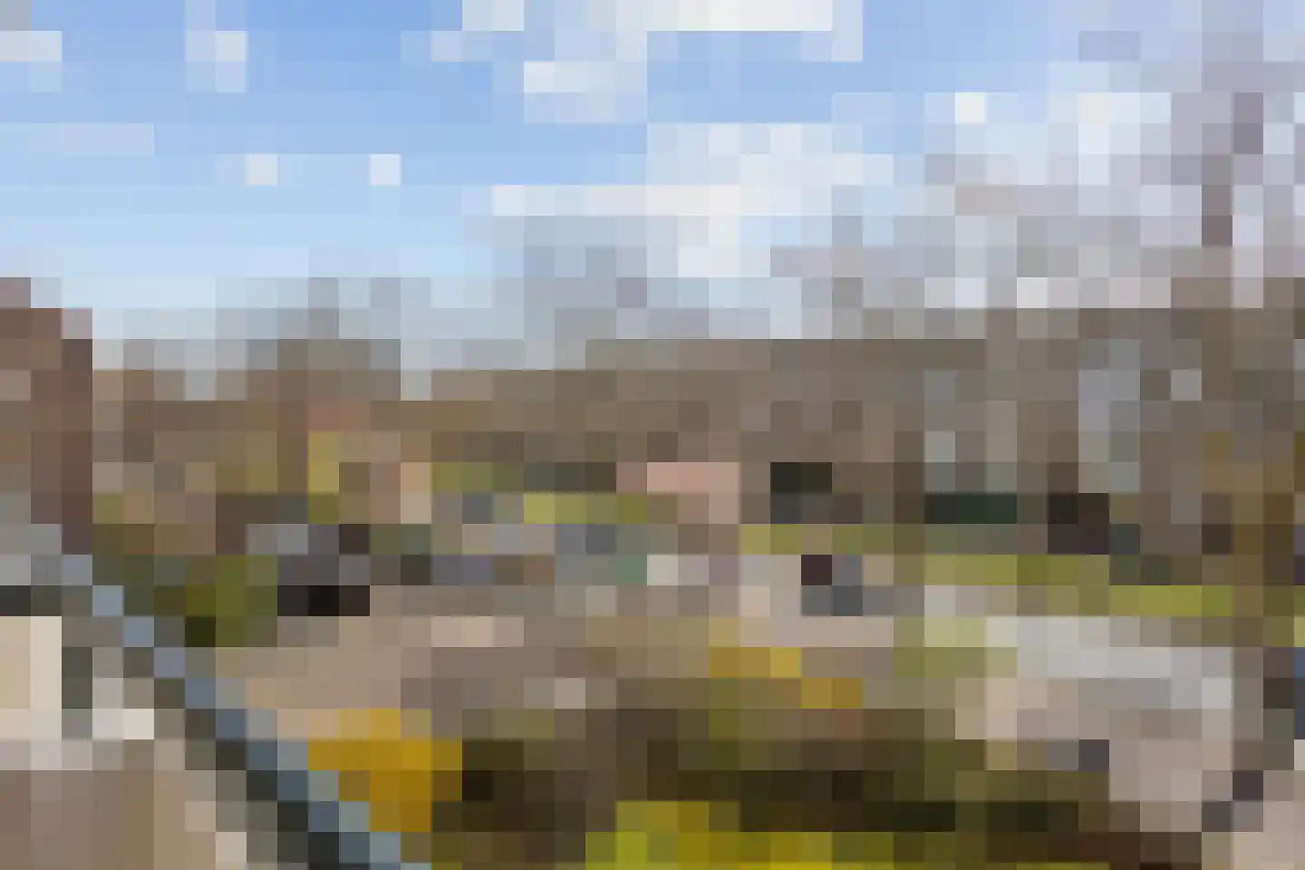 Burgemeester Elsenlaan 255 Rijswijk thumbnail 13