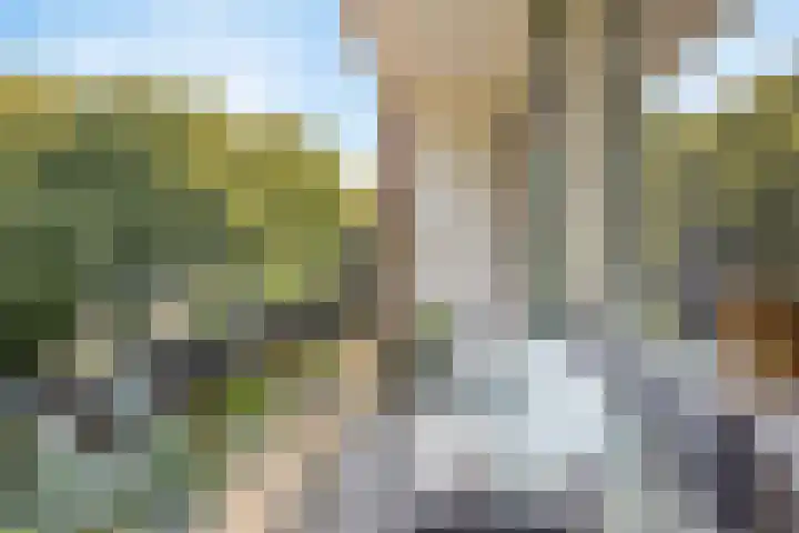 Burgemeester Elsenlaan 27 Rijswijk thumbnail 14