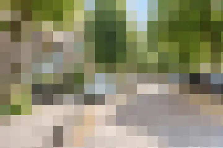 Burgemeester Elsenlaan 27 Rijswijk thumbnail 21