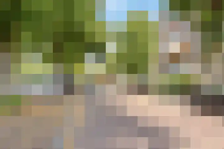 Burgemeester Elsenlaan 27 Rijswijk thumbnail 23